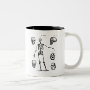 Vintage 1800s Skeleton Antique Anatomy Skeletons Two-Tone Coffee Mug