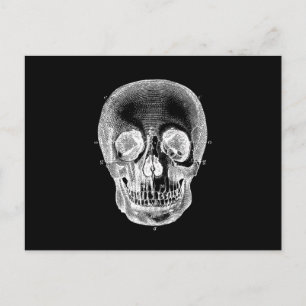Vintage 1800s Skull Retro Anatomical Black White Postcard