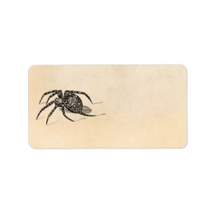 Vintage 1800s Spider Illustration Spiders Template Label