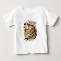 Vintage 1800s Tree Kangaroo Old Kangaroos Template