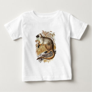 Vintage 1800s Tree Kangaroo Old Kangaroos Template Baby T-Shirt