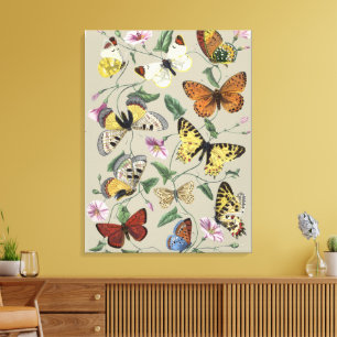 Vintage 1842 Butterfly Moth Botanical Floral Art Canvas Print