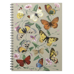 Vintage 1842 Butterfly Moth Botanical Floral Art Notebook