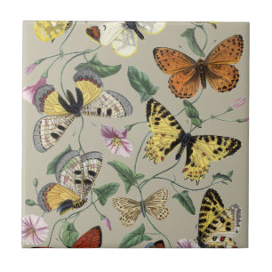 Vintage 1842 Butterfly Moth Botanical Floral Art Tile