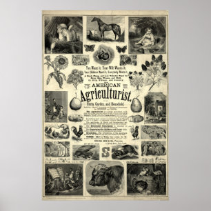 Vintage 1866 The American Agriculturist Poster