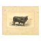 Vintage 1888 Cow with Calf Print