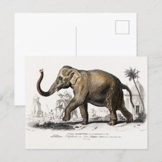 Vintage 1892 Asiatic Elephant Illustration Postcard