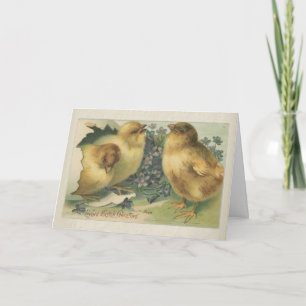 Vintage 1898 Baby Chick Easter Card