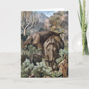 Vintage 1900 Book African Elephants Illustration Card