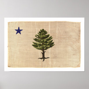 Vintage 1901 Maine Flag Print (Large)