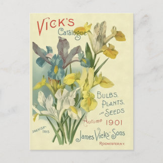 Vintage 1901 Vick's Seed & Plant Catalogue Postcard