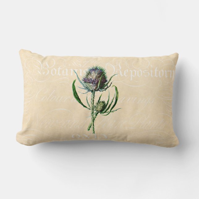Vintage 1902 Scottish Thistle Antique Wildflower Lumbar Cushion (Front)