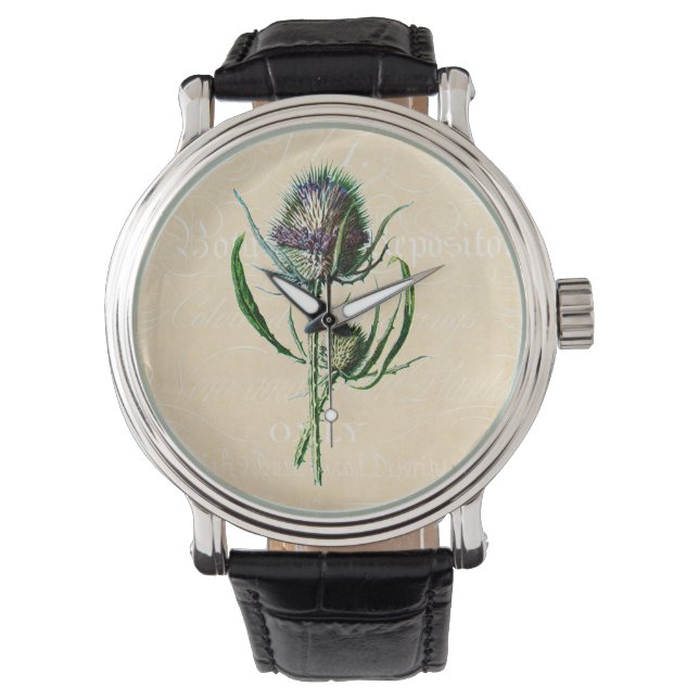 Vintage 1902 Scottish Thistle Antique Wildflower Watch (Front)