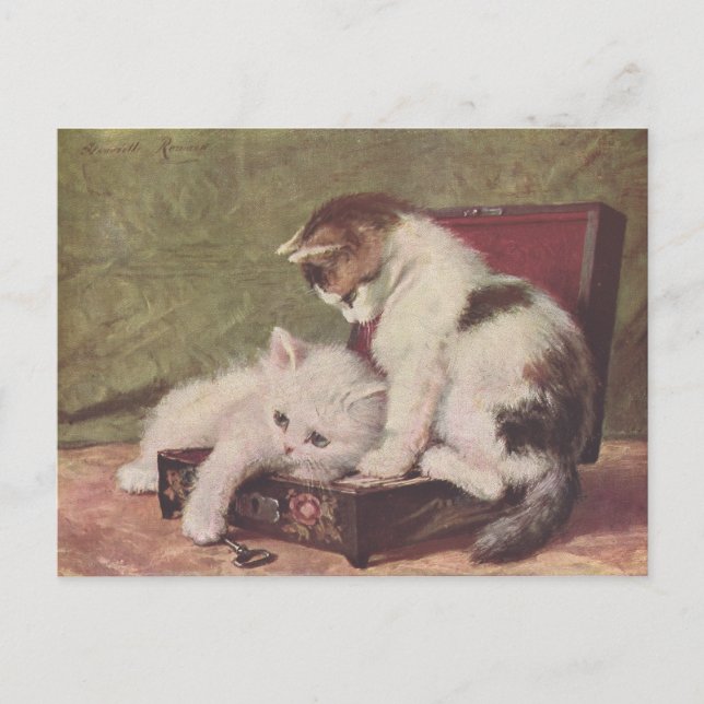 Vintage 1907 Illustration of Kittens Playing Postcard (Front)