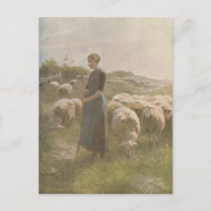 Vintage 1907 Illustration of Sheep in Pasture Postcard