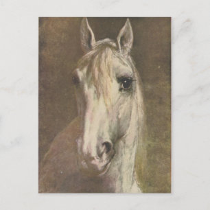 Vintage 1907 Illustration of White Horse Postcard