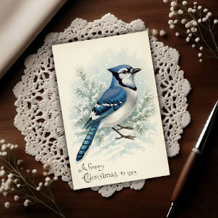 Vintage 1908 Blue Jay Christmas  Postcard
