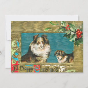 Vintage 1908 Collie Dogs Gold Happy Christmas Card