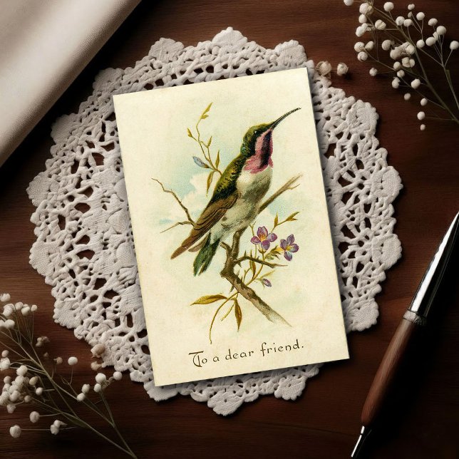 Vintage 1908 Mexican Star Hummingbird Friendship  Postcard (Creator Uploaded)