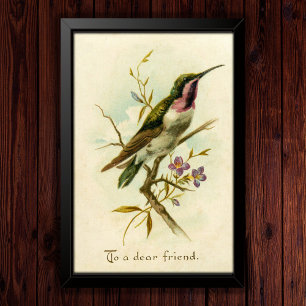 Vintage 1908 Mexican Star Hummingbird Friendship  Poster