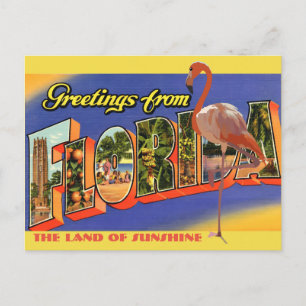 Vintage 1934 Greetings From Florida Travel Postcard