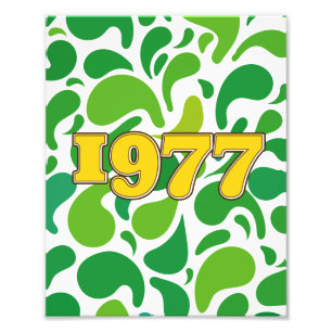 Vintage 1977 photo print