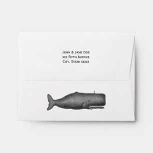Vintage 19th Century Whale Drawing N Envelope