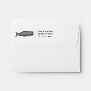 Vintage 19th Century Whale Drawing N Envelopes