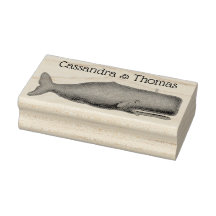 Vintage 19th Century Whale Drawing N