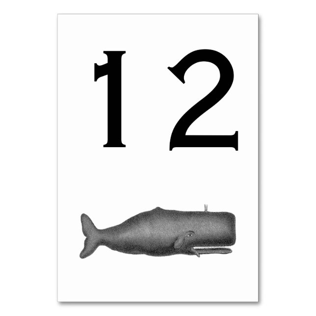 Vintage 19th Century Whale Drawing N Table Number (Front)