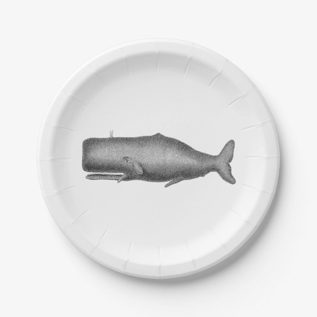 Vintage 19th Century Whale Drawing Paper Plate (Front)