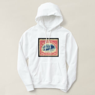 Vintage 24c Inverted Jenny Sweatshirt