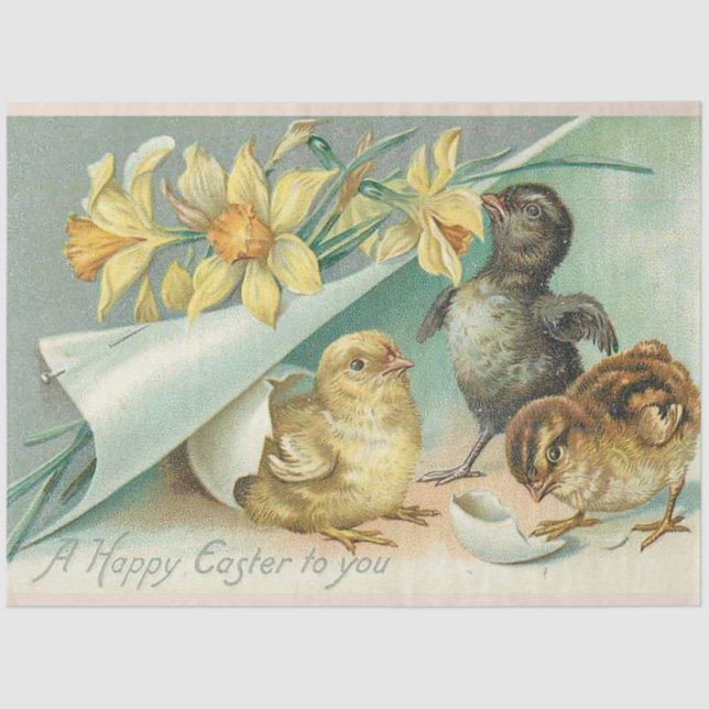 Vintage 3 Chickens Easter Holiday Tissue Paper (Front)