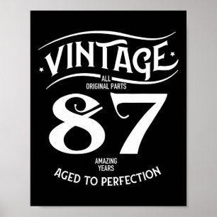 Vintage 87 Amazing Years Funny 87th Birthday Perfe Poster