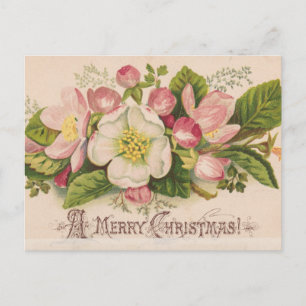 Vintage A Merry Christmas Apple Blossoms Postcard