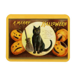 Vintage A Merry Halloween Black Cat Broom Magnet