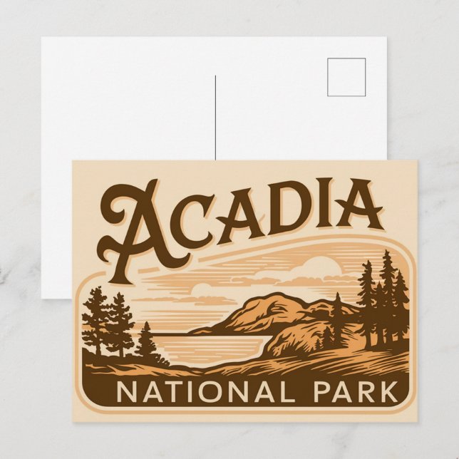 Vintage Acadia National Park Bar Harbour Holiday Postcard (Front/Back)