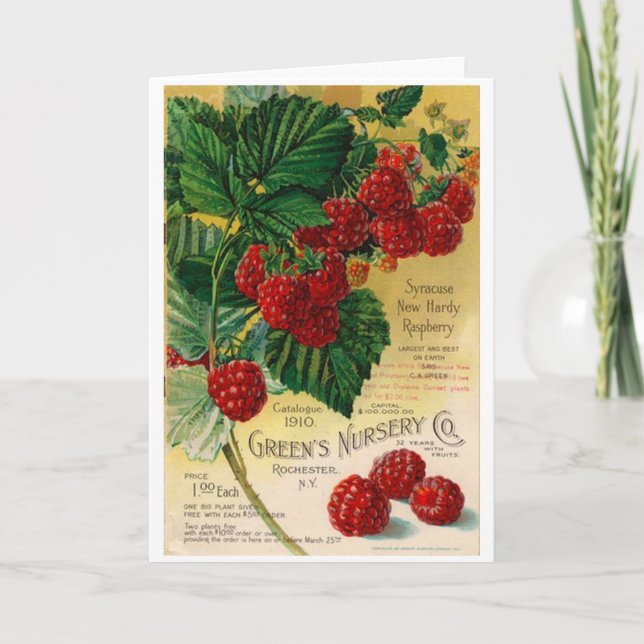 Vintage Ad for Raspberry Plants, Card (Front)