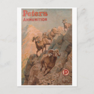 Vintage Ad Poster Postcard