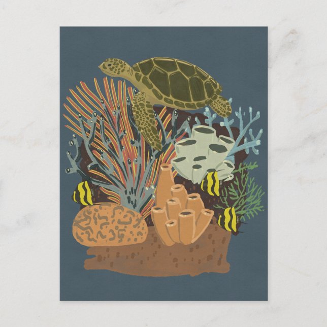 Vintage Adquarium Postcard (Front)