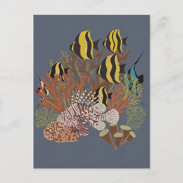 Vintage Adquarium Postcard (Front)