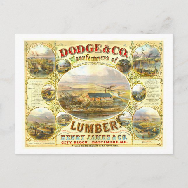 Vintage Advertisement for Dodge & Co. Lumber Postcard (Front)