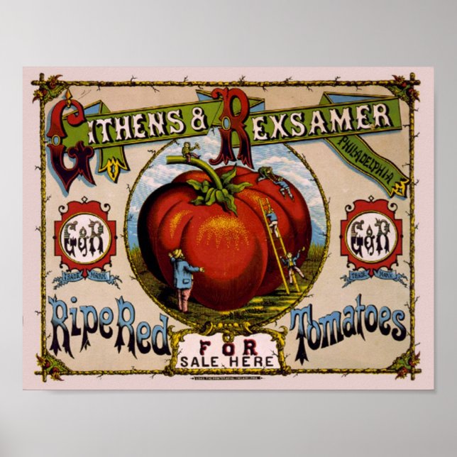 Vintage Advertisement Ripe red tomatoes Poster (Front)