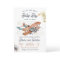 Vintage Aeroplane Boy Travel Baby Shower