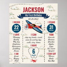 Vintage Aeroplane First Birthday Milestone Sign