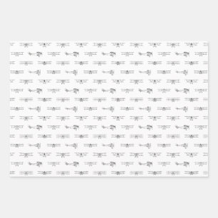 Vintage Aeroplanes Aviation Themed CUSTOM COLOR Wrapping Paper Sheet