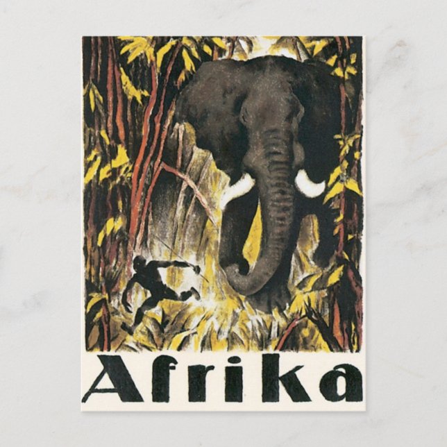 Vintage Africa Postcard (Front)