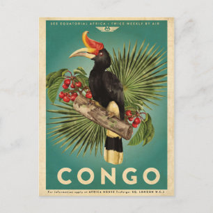 Vintage Africa Travel Postcard