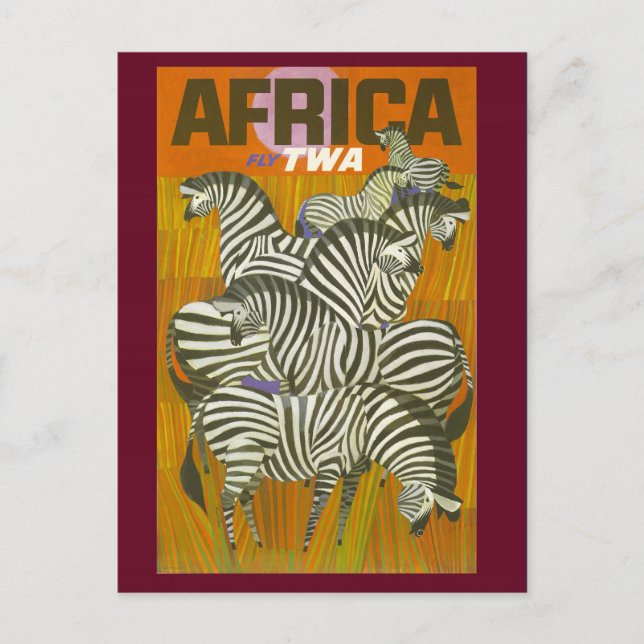 Vintage African Zebra Travel Postcard (Front)