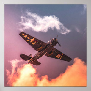 Vintage Airplane Beautiful Sky Poster